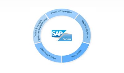 SAP Implementation services