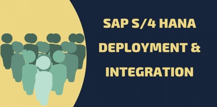 sap deployment & integration SAP s/4hana deployment integration